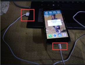 苹果手机抖音评论区变白了怎么办 如何解决显示问题 