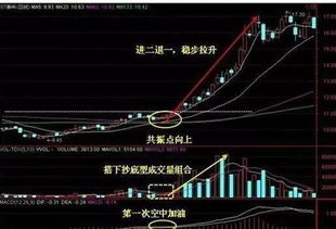 提高淘宝成交量的技巧有哪些 如何操作 