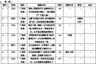 100个短视频脚本案例解析