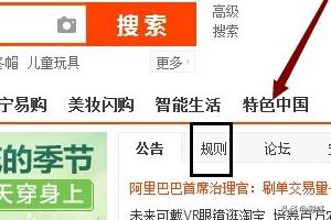 在淘宝网上哪里无法查看到淘宝规则的信息 