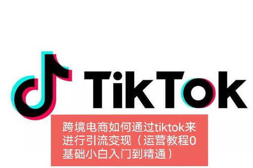 2025年TikTok跨境电商怎么做 入门到精通指南