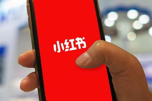为何小红书突然无法搜索内容 怎么回事 