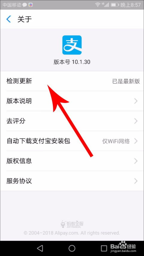 支付宝每日必抢活动真实性如何 有哪些风险 