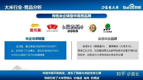 2025年天猫旗舰店推广策略揭秘 哪些方法最有效 