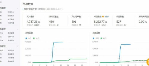 拼多多如何查看推广的词量 