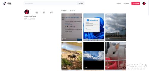 2025年抖音网页版入口在哪里 如何登录和使用 