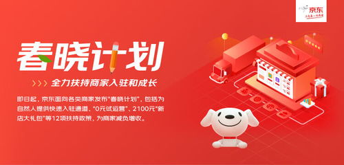 京东店铺流量暴涨技巧 中小商家亲测有效 