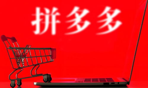 新店铺在拼多多选类目 应该怎么选择 