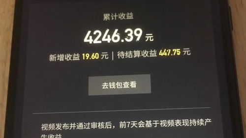 抖音赚了一百元是真的吗 怎样实现的 