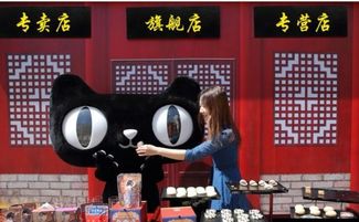 天猫旗舰店和专营店有哪些显著差异 应该如何选择 