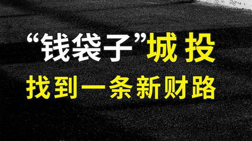 城投资金之谜：揭秘城市投资平台的钱从何而来？