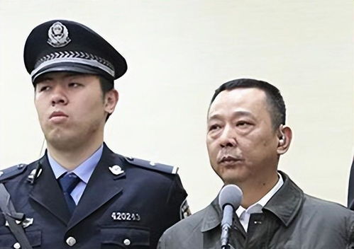 揭秘刘汉:深度解析中国房地产界的风云人物
