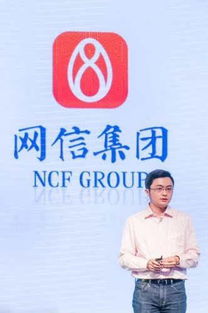 揭秘网信盛佳：这位行业新星的身世之谜