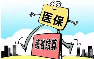 国家支持保险：构建经济安全网的奥秘