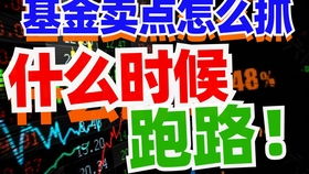 基金为何突然暂停购买？揭秘背后的原因与应对策略