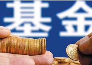 基金公司：投资界的导航灯塔，你了解多少？