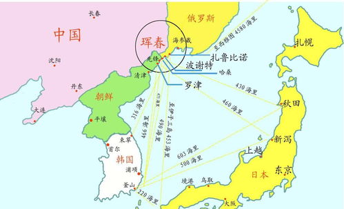 日韩区VS欧美区：揭秘两大消费市场的差异与启示