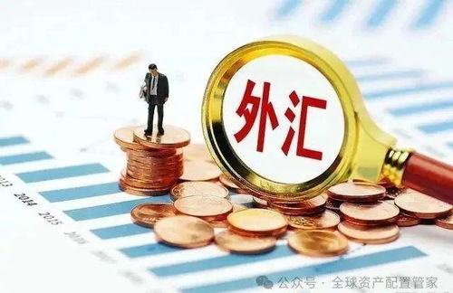 外汇储备：揭秘国家金融安全的“守门人”