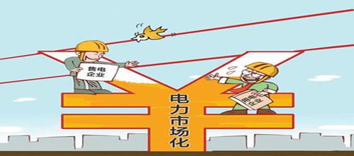 无序竞争：市场乱象下的生存挑战