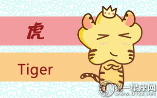 盈：揭秘生肖猪的独特寓意与生活智慧