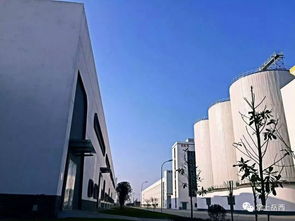 《探寻安徽种子酒厂的神秘踪迹：探访名酒之源》
