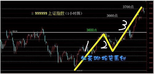 二线蓝筹：股市中的稳健之选，你了解多少？