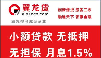 翼龙贷贷款，你需要了解的关键要素