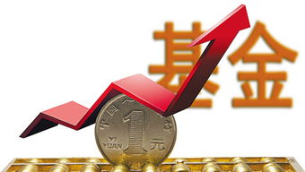 揭秘对冲基金投资之路：如何在全球市场选购心仪基金？