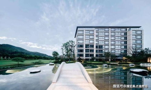 蓝城与绿城：揭秘房地产巨头间的微妙关系