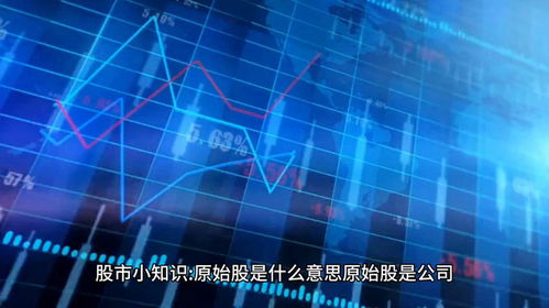 揭秘原始股：投资界的“潜力股”究竟有何魅力？