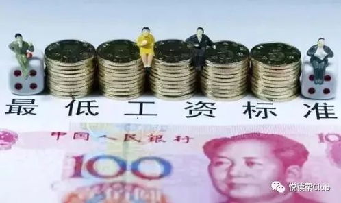 《6盛宴VS双刃剑：哪款产品更胜一筹？——资讯群体深度评测》