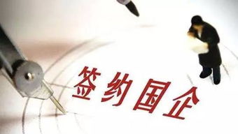国企职场新机遇：哪些人才更适合国企？
