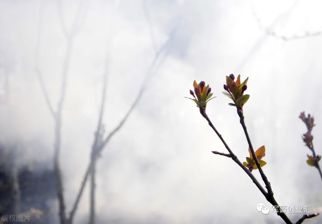 想创业如何找项目在哪找,一千元以下创业项目推荐,想创业如何找项目