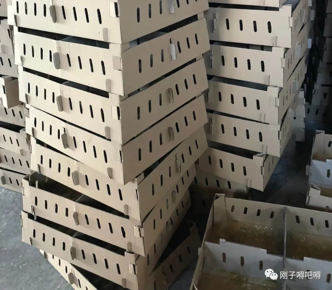 目前农村种什么最赚钱,农村创业种植项目大全,种什么最赚钱农村