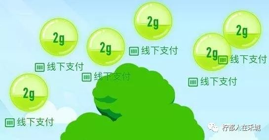 蚂蚁森林能量产生明细在哪里看,据说蚂蚁森林暴露消费记录,蚂蚁森林能量产生明细