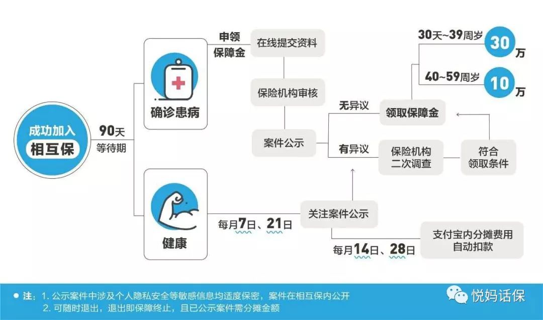 支付宝相互保真实可靠吗,详解支付宝相互保保障范围,支付宝相互保