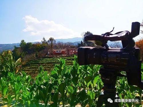闲鱼上怎么卖东西流程,新手闲鱼无货源模式的操作,闲鱼上怎么卖东西