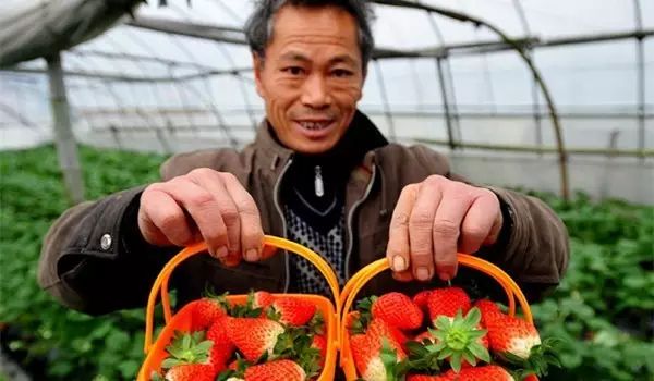 几千元小额创业好项目有哪些,推荐1万以下小额创业的5个项目,几千元小额创业好项目