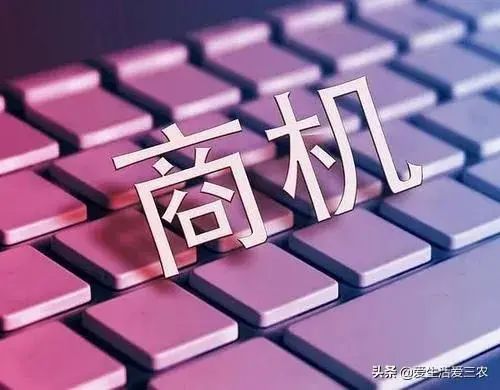 农村小工厂暴利项目有哪些,家庭小型加工项目大全,农村小工厂暴利