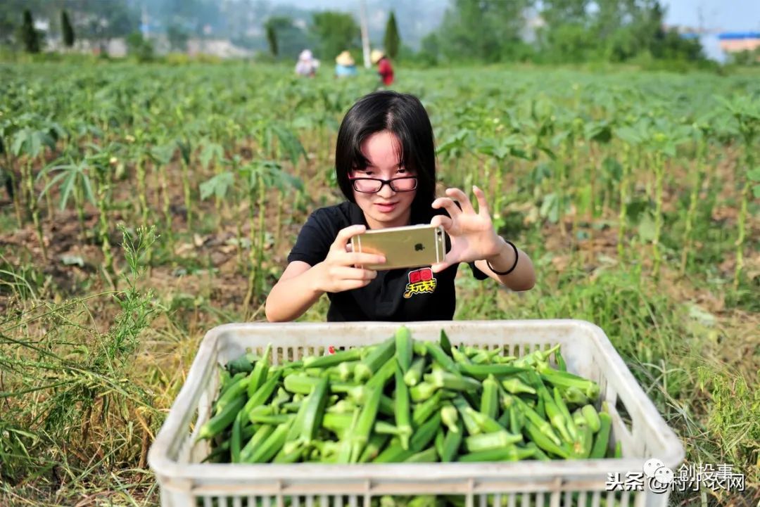 现在行情干什么能赚钱,月入2万的10个小生意,干什么能赚钱