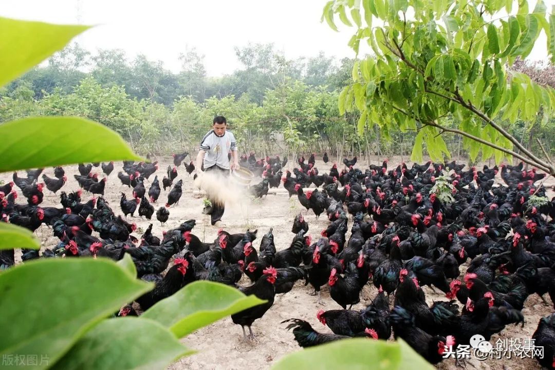 现在行情干什么能赚钱,月入2万的10个小生意,干什么能赚钱