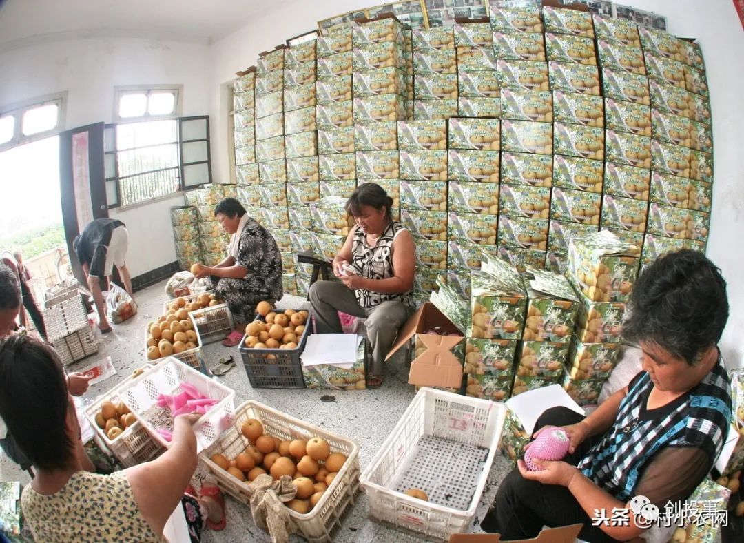 现在行情干什么能赚钱,月入2万的10个小生意,干什么能赚钱