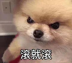 现在什么app可以赚钱靠谱,免费挖矿挣钱app可提现,什么app可以赚钱