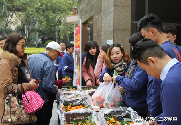 2021年干什么能挣钱快,盘点挣钱最快的方法,干什么能挣钱