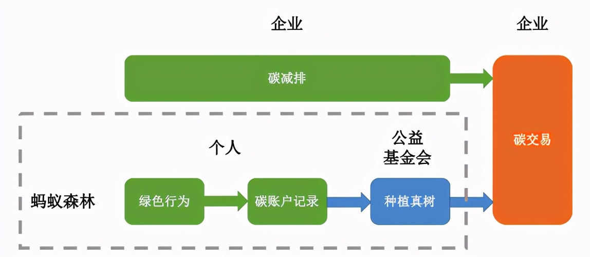 蚂蚁森林能量产生细则,讲解蚂蚁森林背后的商业逻辑,蚂蚁森林