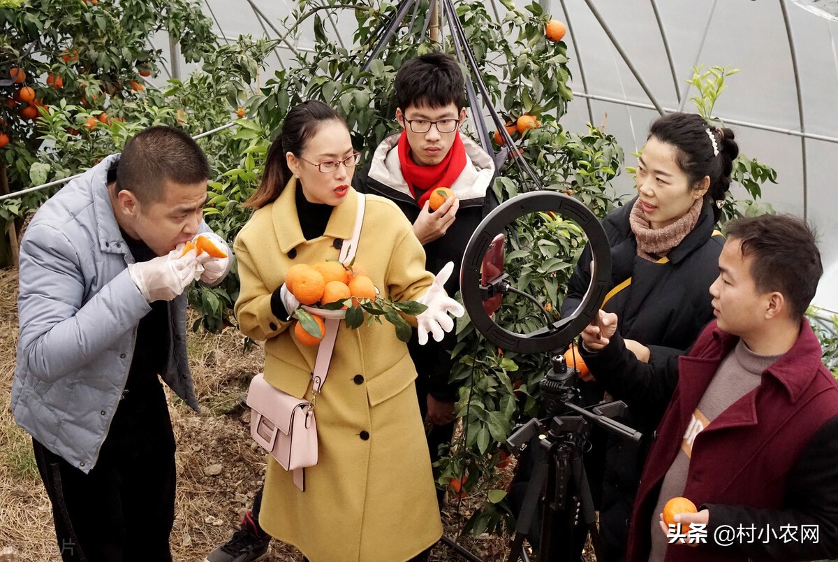 在农村如何致富赚钱,没本钱月入2万的12个小生意,在农村如何致富