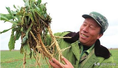 在农村如何致富赚钱,没本钱月入2万的12个小生意,在农村如何致富