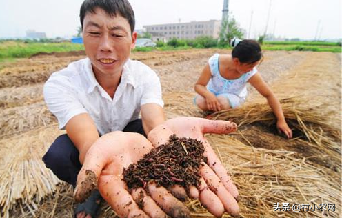 在农村如何致富赚钱,没本钱月入2万的12个小生意,在农村如何致富