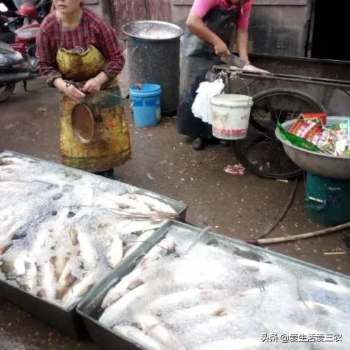 做小生意赚大钱案例,00后怎么赚钱白手起家,做小生意赚大钱