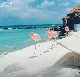 抖音里的图片怎么提取,分享抖音上很火的歌曲排行,抖音里的